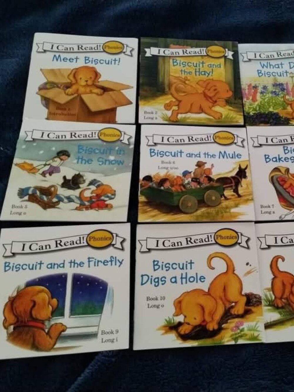 Biscuit- i Can Read Phonics books